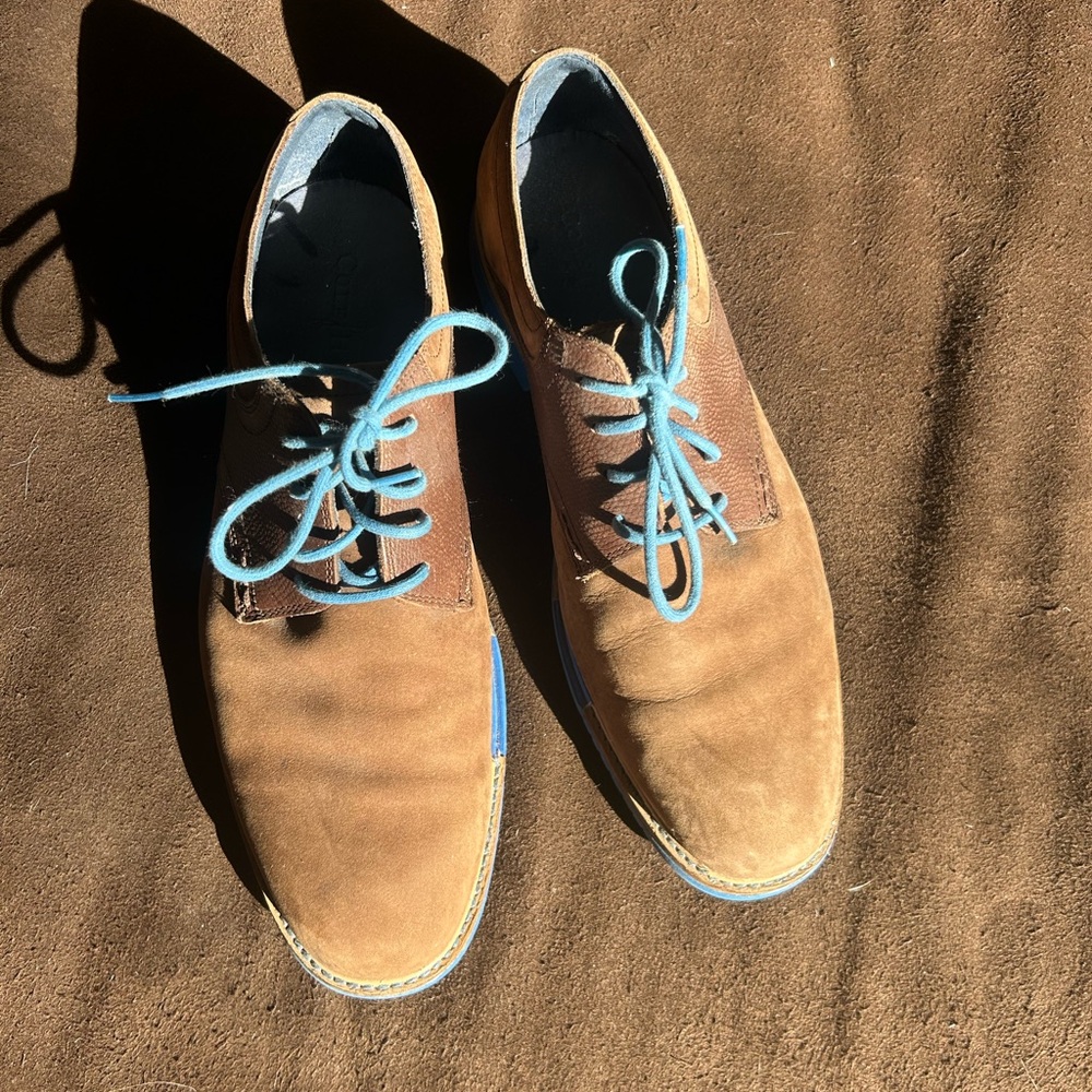 Cole Haan men’s brown and blue shoes